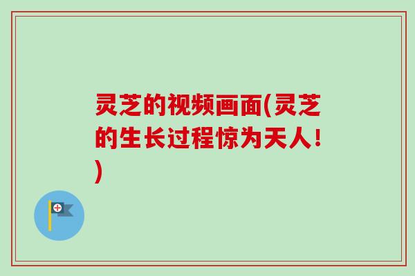 灵芝的视频画面(灵芝的生长过程惊为天人!) 灵芝的视频画面(灵芝的生长过程惊为天人!)