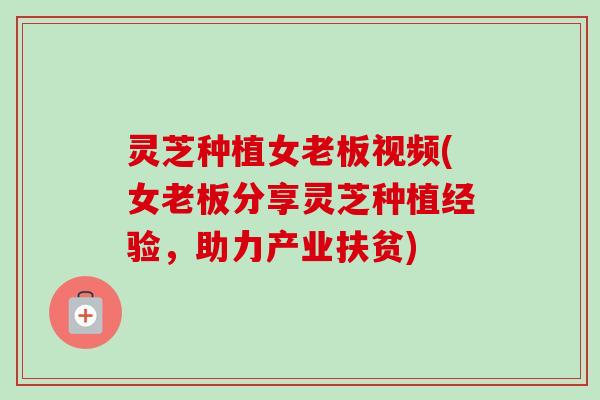 灵芝种植女老板视频(女老板分享灵芝种植经验,助力产业扶贫) 灵芝种植女老板视频(女老板分享灵芝种植经验,助力产业扶贫)