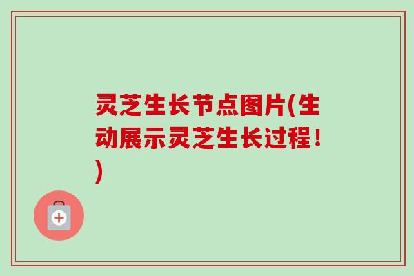 灵芝生长节点图片(生动展示灵芝生长过程!) 灵芝生长节点图片(生动展示灵芝生长过程!)