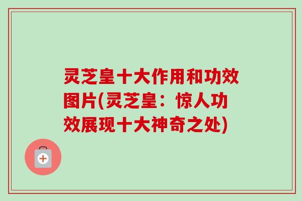 灵芝皇十大作用和功效图片(灵芝皇:惊人功效展现十大神奇之处) 灵芝皇十大作用和功效图片(灵芝皇:惊人功效展现十大神奇之处)