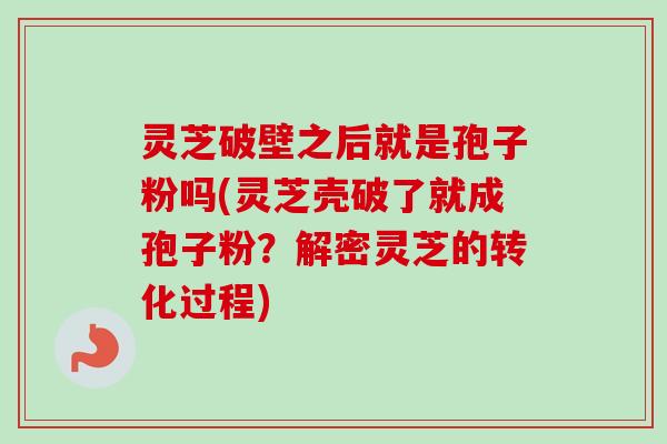 灵芝破壁之后就是孢子粉吗(灵芝壳破了就成孢子粉?解密灵芝的转化过程) 灵芝破壁之后就是孢子粉吗(灵芝壳破了就成孢子粉?解密灵芝的转化过程)