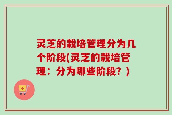 灵芝的栽培管理分为几个阶段(灵芝的栽培管理：分为哪些阶段？)