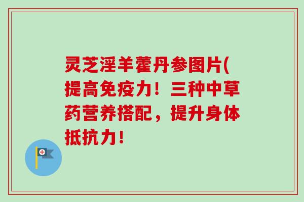 灵芝淫羊藿丹参图片(提高免疫力!三种中草药营养搭配,提升身体抵抗力! 灵芝淫羊藿丹参图片(提高免疫力!三种中草药营养搭配,提升身体抵抗力!