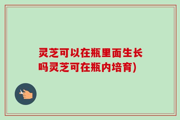 灵芝可以在瓶里面生长吗灵芝可在瓶内培育) 灵芝可以在瓶里面生长吗灵芝可在瓶内培育)