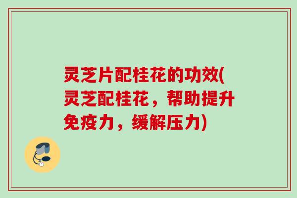 灵芝片配桂花的功效(灵芝配桂花，帮助提升免疫力，缓解压力)