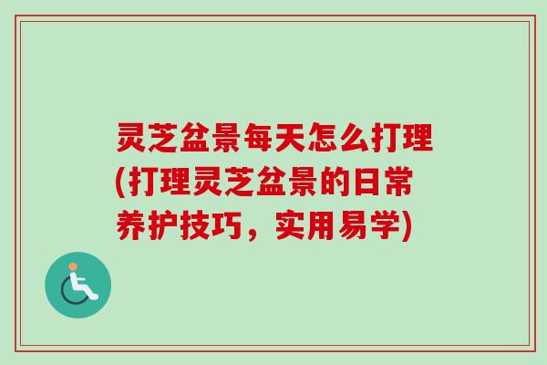灵芝盆景每天怎么打理(打理灵芝盆景的日常养护技巧，实用易学)