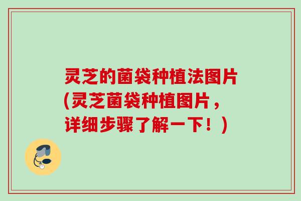 灵芝的菌袋种植法图片(灵芝菌袋种植图片,详细步骤了解一下!) 灵芝的菌袋种植法图片(灵芝菌袋种植图片,详细步骤了解一下!)