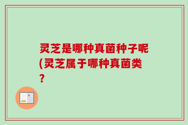 灵芝是哪种真菌种子呢(灵芝属于哪种真菌类？