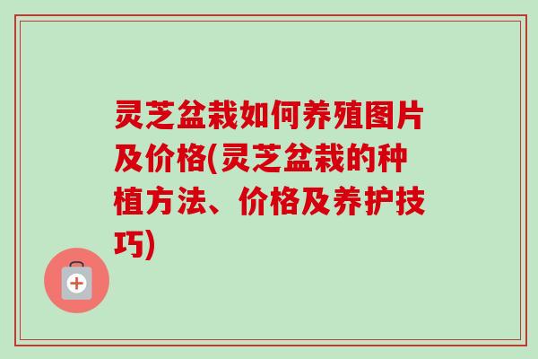 灵芝盆栽如何养殖图片及价格(灵芝盆栽的种植方法、价格及养护技巧) 灵芝盆栽如何养殖图片及价格(灵芝盆栽的种植方法、价格及养护技巧)