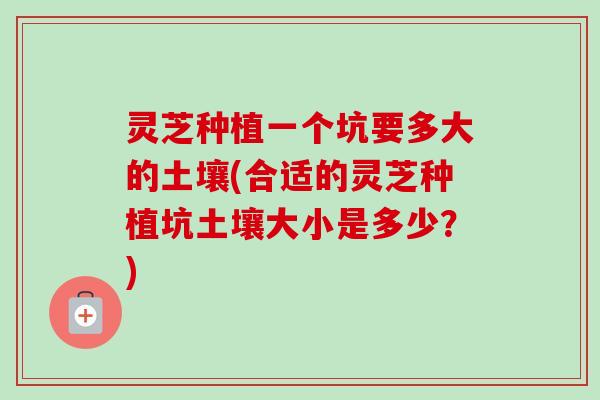灵芝种植一个坑要多大的土壤(合适的灵芝种植坑土壤大小是多少？)
