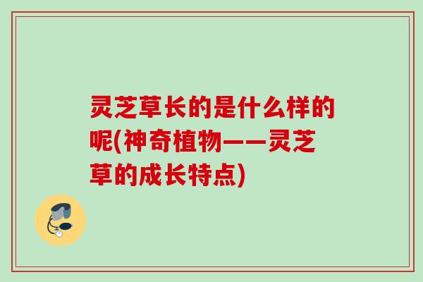 灵芝草长的是什么样的呢(神奇植物——灵芝草的成长特点) 灵芝草长的是什么样的呢(神奇植物——灵芝草的成长特点)