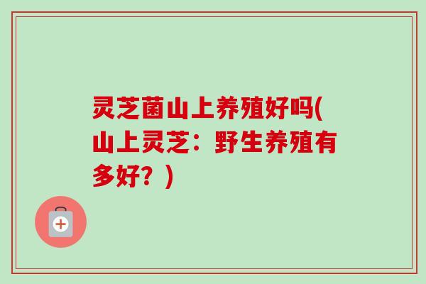 灵芝菌山上养殖好吗(山上灵芝:野生养殖有多好?) 灵芝菌山上养殖好吗(山上灵芝:野生养殖有多好?)