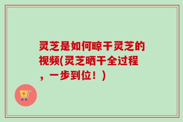 灵芝是如何晾干灵芝的视频(灵芝晒干全过程,一步到位!) 灵芝是如何晾干灵芝的视频(灵芝晒干全过程,一步到位!)