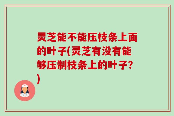 灵芝能不能压枝条上面的叶子(灵芝有没有能够压制枝条上的叶子?) 灵芝能不能压枝条上面的叶子(灵芝有没有能够压制枝条上的叶子?)