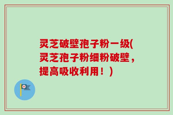 灵芝破壁孢子粉一级(灵芝孢子粉细粉破壁，提高吸收利用！)