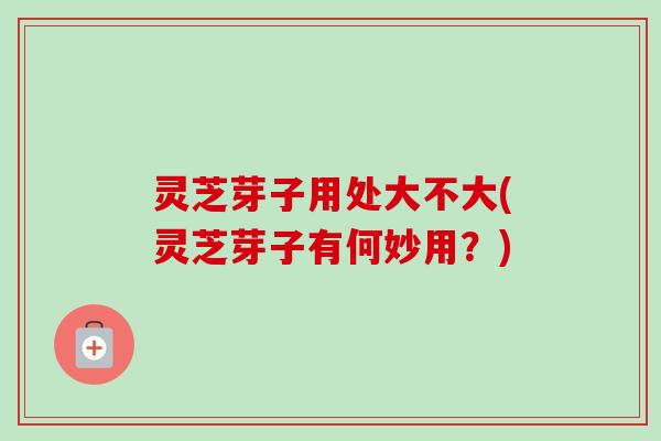 灵芝芽子用处大不大(灵芝芽子有何妙用？)