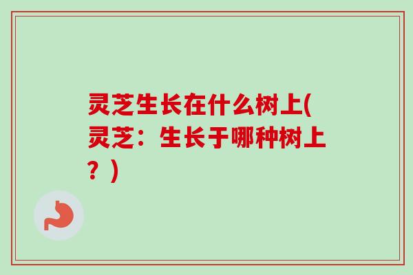 灵芝生长在什么树上(灵芝:生长于哪种树上?) 灵芝生长在什么树上(灵芝:生长于哪种树上?)
