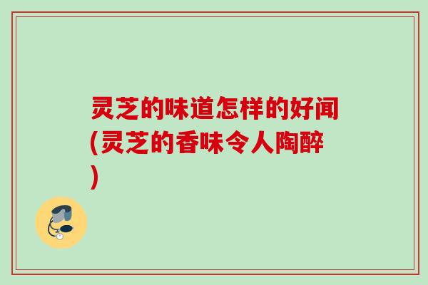 灵芝的味道怎样的好闻(灵芝的香味令人陶醉) 灵芝的味道怎样的好闻(灵芝的香味令人陶醉)