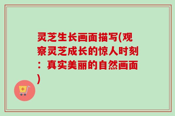 灵芝生长画面描写(观察灵芝成长的惊人时刻：真实美丽的自然画面)