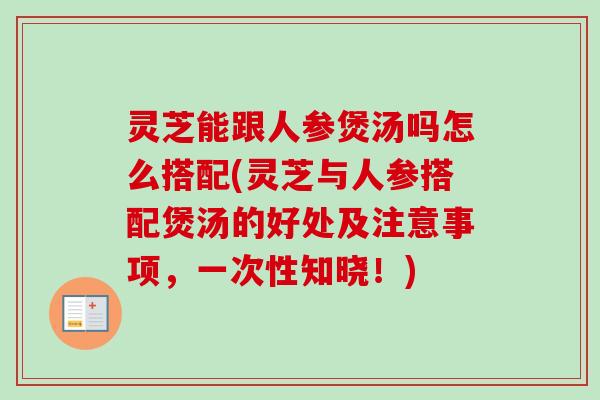 灵芝能跟人参煲汤吗怎么搭配(灵芝与人参搭配煲汤的好处及注意事项,一次性知晓!) 灵芝能跟人参煲汤吗怎么搭配(灵芝与人参搭配煲汤的好处及注意事项,一次性知晓!)