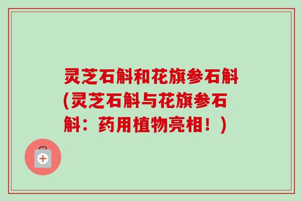 灵芝石斛和花旗参石斛(灵芝石斛与花旗参石斛:药用植物亮相!) 灵芝石斛和花旗参石斛(灵芝石斛与花旗参石斛:药用植物亮相!)
