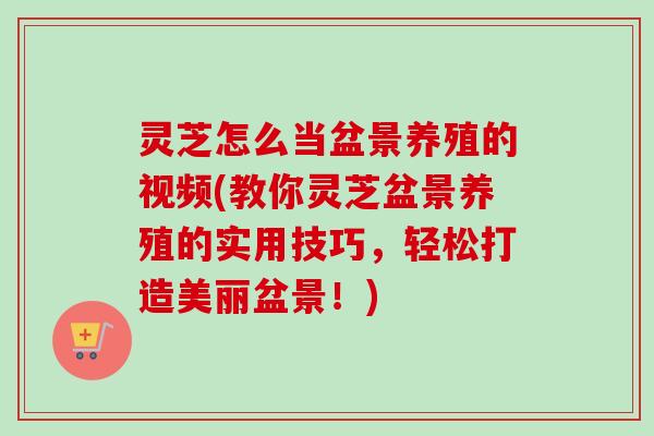 灵芝怎么当盆景养殖的视频(教你灵芝盆景养殖的实用技巧,轻松打造美丽盆景!) 灵芝怎么当盆景养殖的视频(教你灵芝盆景养殖的实用技巧,轻松打造美丽盆景!)