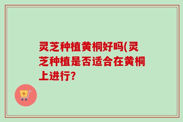 灵芝种植黄桐好吗(灵芝种植是否适合在黄桐上进行? 灵芝种植黄桐好吗(灵芝种植是否适合在黄桐上进行?