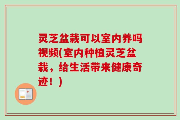 灵芝盆栽可以室内养吗视频(室内种植灵芝盆栽,给生活带来健康奇迹!) 灵芝盆栽可以室内养吗视频(室内种植灵芝盆栽,给生活带来健康奇迹!)