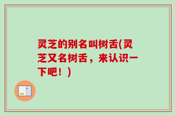 灵芝的别名叫树舌(灵芝又名树舌,来认识一下吧!) 灵芝的别名叫树舌(灵芝又名树舌,来认识一下吧!)