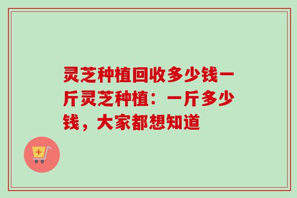 灵芝种植回收多少钱一斤灵芝种植:一斤多少钱,大家都想知道 灵芝种植回收多少钱一斤灵芝种植:一斤多少钱,大家都想知道