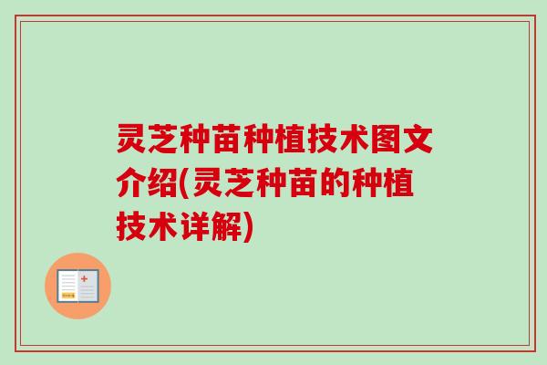 灵芝种苗种植技术图文介绍(灵芝种苗的种植技术详解) 灵芝种苗种植技术图文介绍(灵芝种苗的种植技术详解)