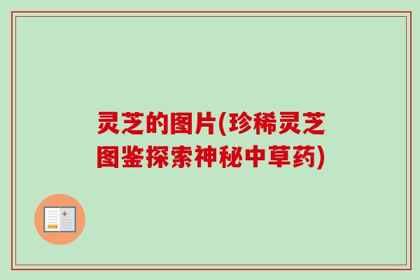 灵芝的图片(珍稀灵芝图鉴探索神秘中草药) 灵芝的图片(珍稀灵芝图鉴探索神秘中草药)