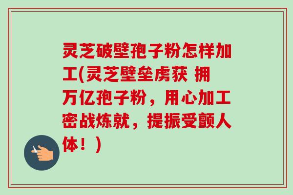 灵芝破壁孢子粉怎样加工(灵芝壁垒虏获 拥万亿孢子粉,用心加工密战炼就,提振受颤人体!) 灵芝破壁孢子粉怎样加工(灵芝壁垒虏获 拥万亿孢子粉,用心加工密战炼就,提振受颤人体!)