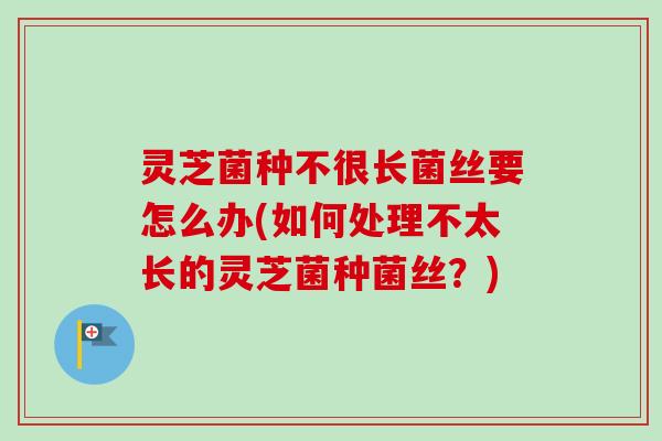 灵芝菌种不很长菌丝要怎么办(如何处理不太长的灵芝菌种菌丝?) 灵芝菌种不很长菌丝要怎么办(如何处理不太长的灵芝菌种菌丝?)