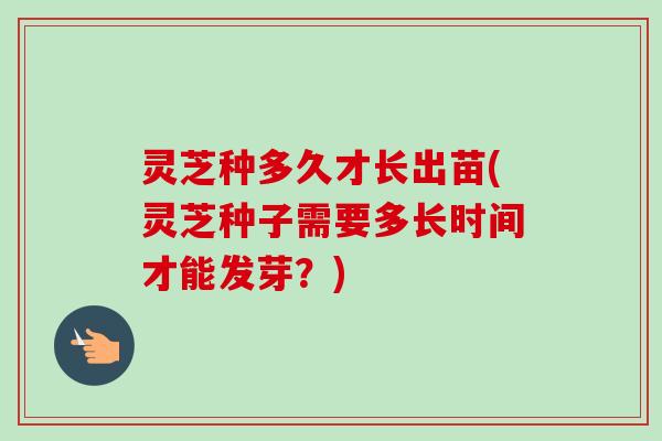 灵芝种多久才长出苗(灵芝种子需要多长时间才能发芽?) 灵芝种多久才长出苗(灵芝种子需要多长时间才能发芽?)