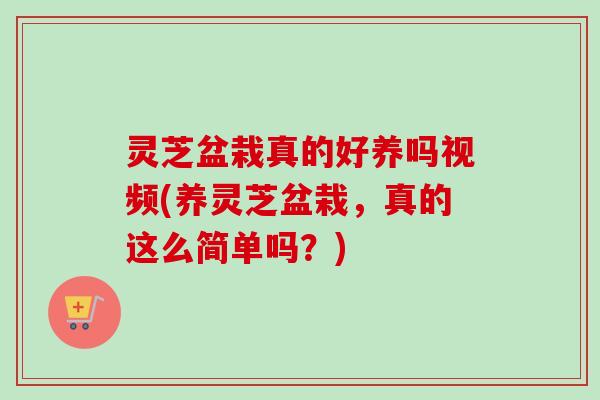 灵芝盆栽真的好养吗视频(养灵芝盆栽，真的这么简单吗？)