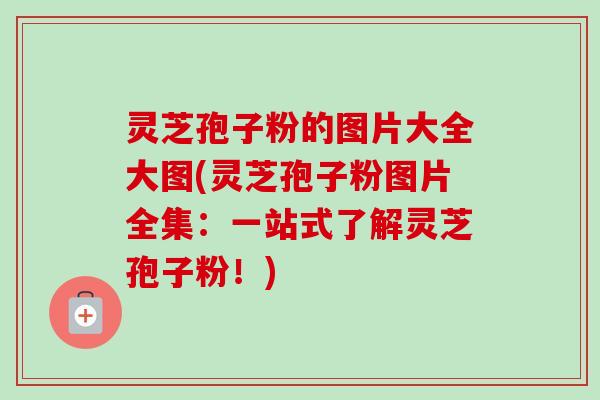 灵芝孢子粉的图片大全大图(灵芝孢子粉图片全集:一站式了解灵芝孢子粉!) 灵芝孢子粉的图片大全大图(灵芝孢子粉图片全集:一站式了解灵芝孢子粉!)