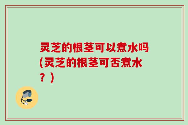 灵芝的根茎可以煮水吗(灵芝的根茎可否煮水?) 灵芝的根茎可以煮水吗(灵芝的根茎可否煮水?)