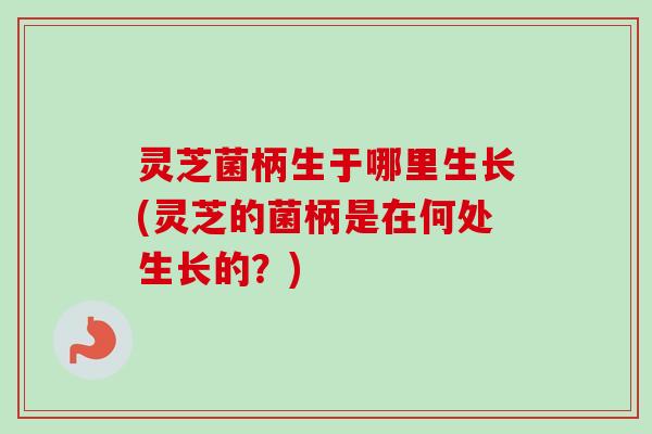 灵芝菌柄生于哪里生长(灵芝的菌柄是在何处生长的?) 灵芝菌柄生于哪里生长(灵芝的菌柄是在何处生长的?)