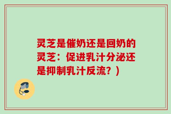 灵芝是催奶还是回奶的灵芝：促进乳汁分泌还是抑制乳汁反流？)