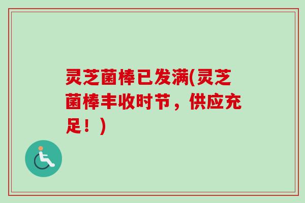 灵芝菌棒已发满(灵芝菌棒丰收时节,供应充足!) 灵芝菌棒已发满(灵芝菌棒丰收时节,供应充足!)