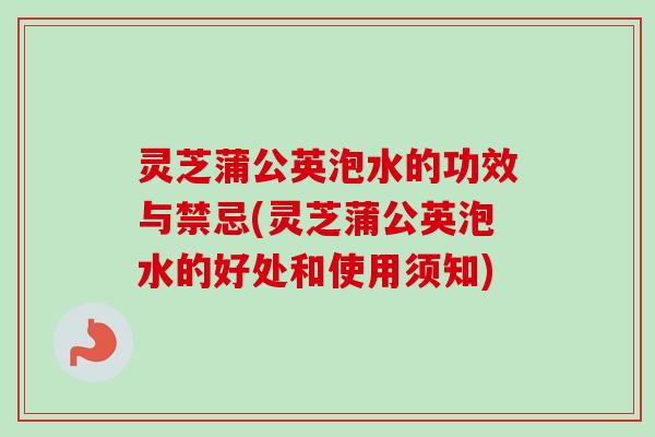灵芝蒲公英泡水的功效与禁忌(灵芝蒲公英泡水的好处和使用须知) 灵芝蒲公英泡水的功效与禁忌(灵芝蒲公英泡水的好处和使用须知)