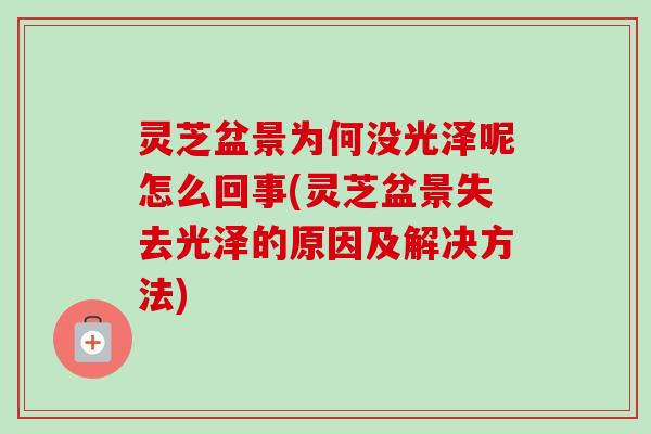 灵芝盆景为何没光泽呢怎么回事(灵芝盆景失去光泽的原因及解决方法) 灵芝盆景为何没光泽呢怎么回事(灵芝盆景失去光泽的原因及解决方法)