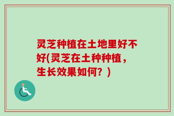 灵芝种植在土地里好不好(灵芝在土种种植，生长效果如何？)