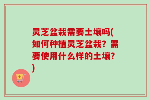 灵芝盆栽需要土壤吗(如何种植灵芝盆栽？需要使用什么样的土壤？)