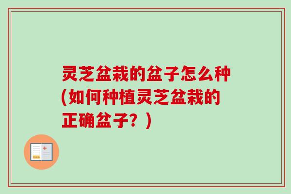 灵芝盆栽的盆子怎么种(如何种植灵芝盆栽的正确盆子?) 灵芝盆栽的盆子怎么种(如何种植灵芝盆栽的正确盆子?)