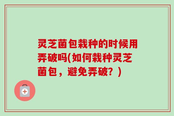 灵芝菌包栽种的时候用弄破吗(如何栽种灵芝菌包,避免弄破?) 灵芝菌包栽种的时候用弄破吗(如何栽种灵芝菌包,避免弄破?)