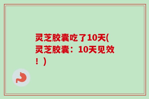 灵芝胶囊吃了10天(灵芝胶囊:10天见效!) 灵芝胶囊吃了10天(灵芝胶囊:10天见效!)