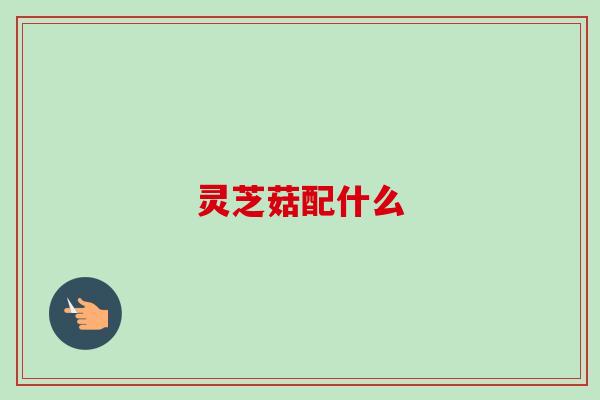 灵芝菇配什么