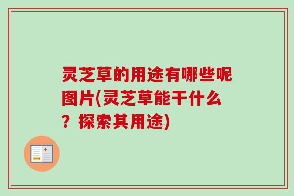 灵芝草的用途有哪些呢图片(灵芝草能干什么?探索其用途) 灵芝草的用途有哪些呢图片(灵芝草能干什么?探索其用途)